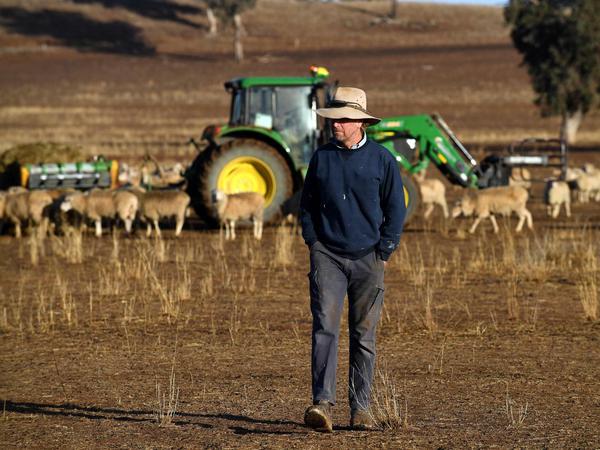 Farmer Clive Barton auf der verdorren Weide mit seinen Tieren beim Städtchen Duri in New South Wales.
