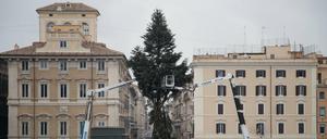 Graue Weihnachtsstimmung: Das Wetter beim Aufstellen des Weihnachtsbaumes auf dem Piazza Venezia in Rom ist ebenso trüb wie das Verhältnis zwischen Wirtschaftsverbänden und Regierung.