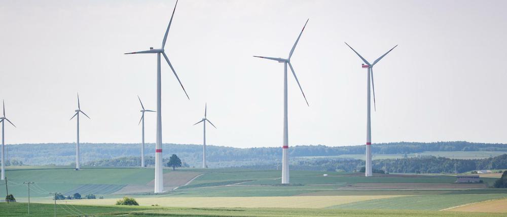 Windkraft erzeugte mit Abstand am meisten Ökostrom.
