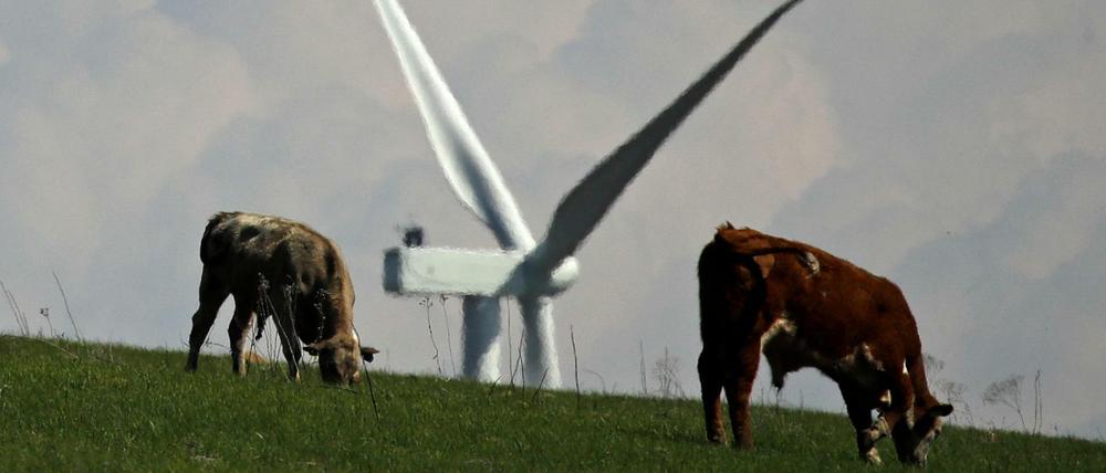 Windanlagen-Anbieter und Co: Das Interesse an nachhaltigen Anlagen nimmt zu.