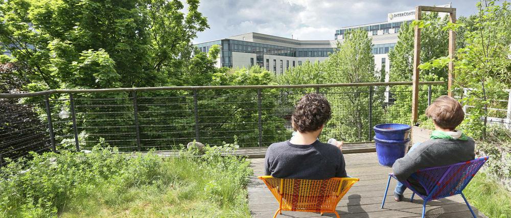 Nur ideelle Unterstützung will das Land Berlin fürs Anlegen von Dachlandschaften wie auf diesem Öko-Haus des Architekten Frei Otto in Berlin geben.