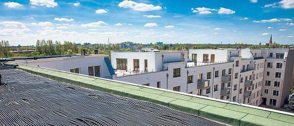 Erneuerbare Energien müssen nicht immer Hightech sein: Auf den Dächern der Neubauten an der Brehmestraße in Pankow sammeln lange Schlangen wassergefüllter schwarzer Rohre Sonnenwärme ein.