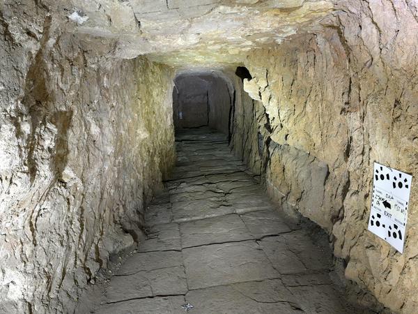 Tunnel mit assyrischer Palastfußboden aus Steinplatten, 2018. Im Plan der Archäologen genannt 2nd. Av., NE. Die Raubgräber orientierten sich an Bodenbelägen oder Mauern des Palastes bei der Anlage ihrer Tunnel.