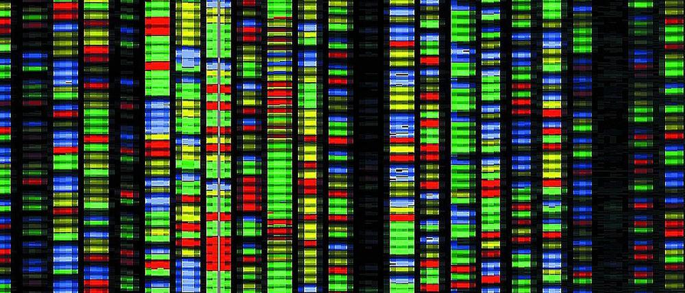Endergebnis eines DNA-Sequenzierungsprozesses. Jede Farbe repräsentiert eine der vier Basen, aus denen DNA besteht (Adenin, Guanin, Cytosin und Thymin). 