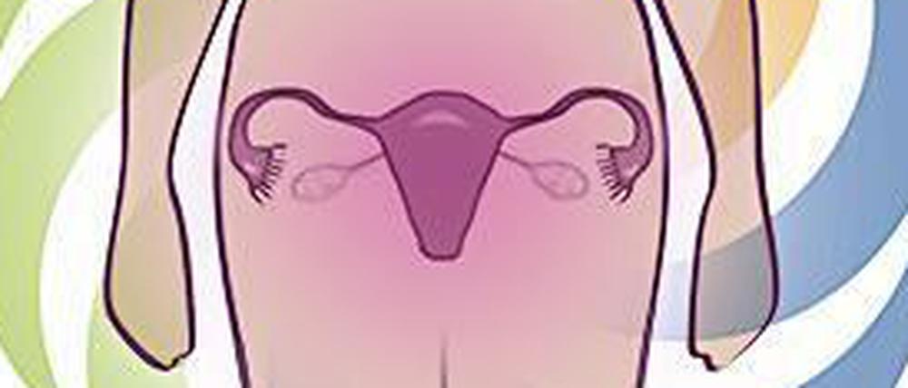Die Funktion der Ovarien wird von vielen Faktoren beeinflusst, von der Genetik über den Lebensstil bis hin zu Umweltchemikalien.