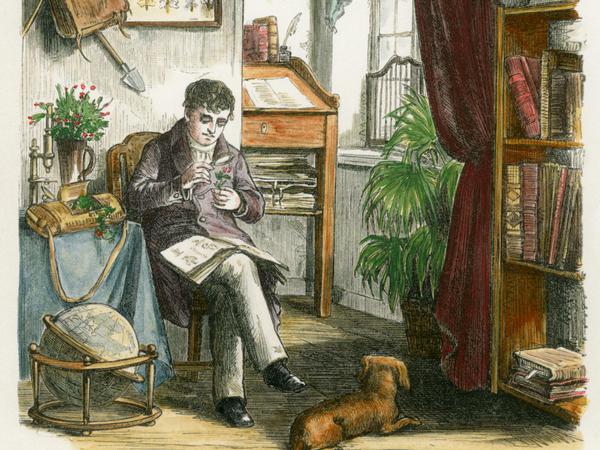 Alexander von Humboldt sitzt in einem Zimmer und bestimmt Pflanzen.
