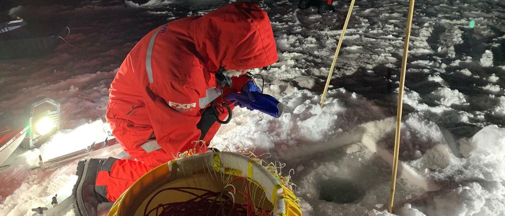 Aus hunderten Metern Wassertiefe fing das MOSAiC-Team mit Langleinen Fische aus dem überfrorenen Nordpolarmeer.