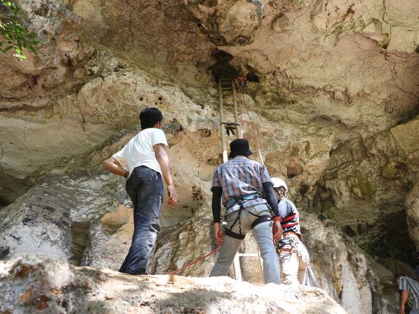 Der Eingang zur Leang Bulu' Sipong 4-Höhle.