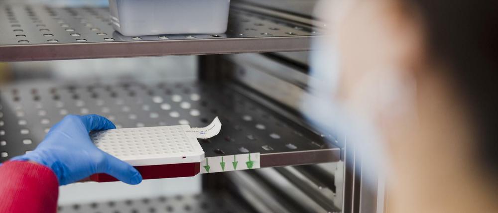Ein Labor-Mitarbeiter verarbeitet Corona-Proben in einem Labor am Flughafen Zürich.