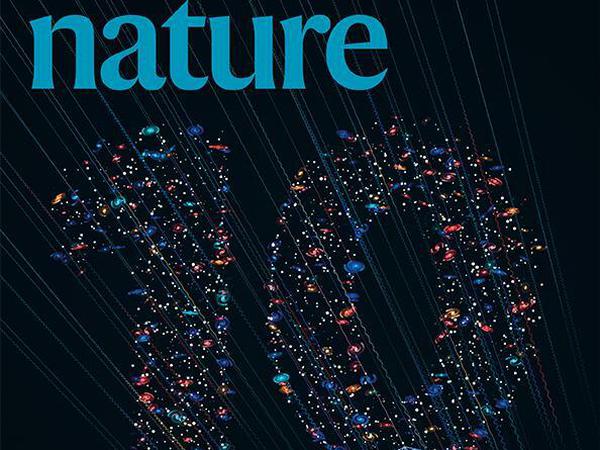 Das Cover der aktuellen Ausgabe von "Nature".