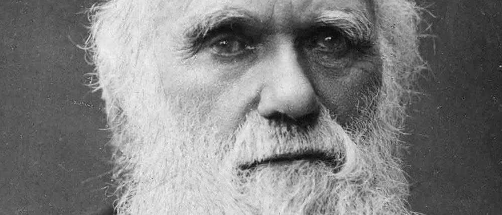 Charles Darwin heiratete seine Cousine Emma Wedgwood - und war in Sorge, ob ihre Kinder dadurch Nachteile hätten.