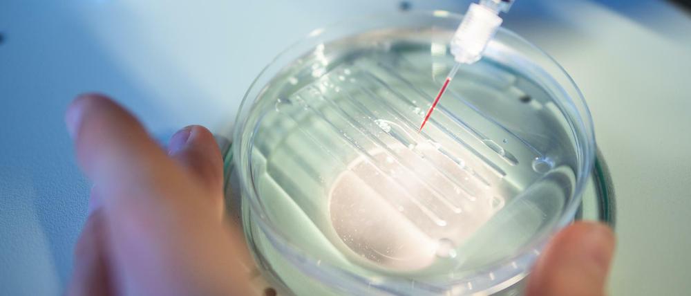 Hand am Erbgut: Das Crispr-Cas-Verfahren erlaubt Genabschnitte eines Embryonen auszutauschen, fehlerhafte Gene zu reparieren, aber theoretisch auch gewünschte Eigenschaften einzuführen.
