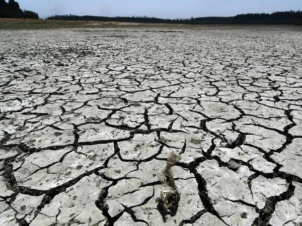 Klimawandel: Dürre in Chile. Eines der kommenden Jahre könnte nach einer Prognose der Weltwetterorganisation (WMO) den Rekord bei der globalen Durchschnittstemperatur brechen.