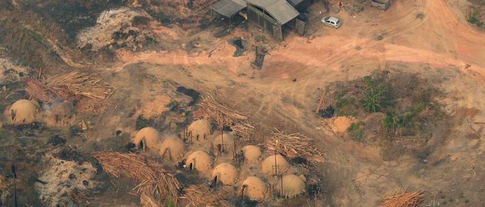 Luftaufnahme von Holzbrettern, die aus dem abgeholzten Amazonas Regenwald stammen. Archivbild vom 24.08.2019, Brasilien, Jaci Parana.