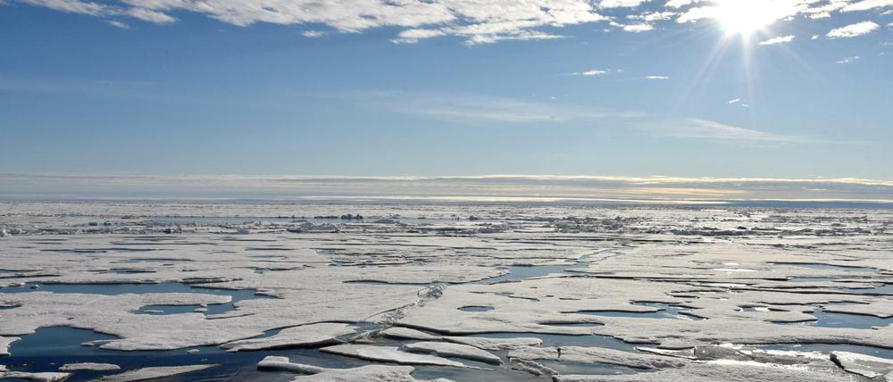Hotspot Arktis: Auf dem Arktischen Ozean am Nordpol schwimmen Eisplatten.