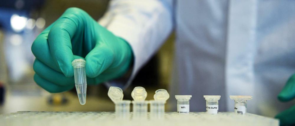 Entwicklung eines Impfstoffs: Ein Labormitarbeiter stellt ein Kunststoffgefäß in einen Ständer