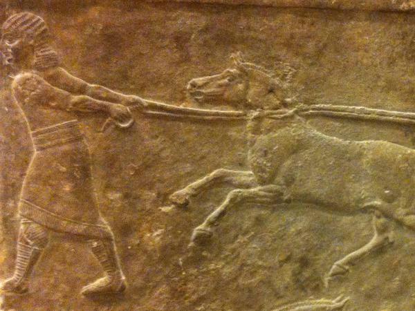 Eine im British Museum in London ausgestellte Tafel aus Mesopotamien zeigt das Fangen lebender Wildesel mit Lassos vor rund 2600 Jahren.