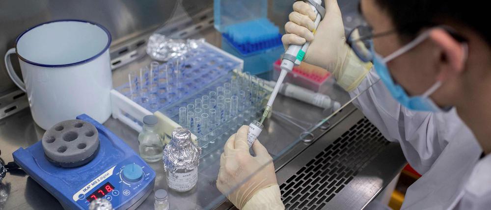 Ein Wissenschaftler arbeitet in einem Covid-19-Labor an einem Impfstoff.