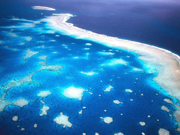 99 Prozent aller Riffe sind durch den Eingriff des Menschen bedroht. Im Bild das Great Barrier Reef.