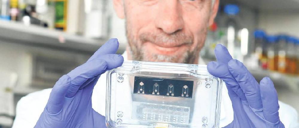 Testplattform von morgen. Roland Lauster und sein Team arbeiten an einem Biochip. In den mikroskopisch kleinen Vertiefungen wollen sie Miniatur-Organe züchten und daran beispielsweise die Wirkung von Arzneien oder Chemikalien testen. Foto: TU Pressestelle/Dahl