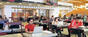 Nachwuchswissenschaftler sitzen in einer Bibliothek an ihren Laptops.