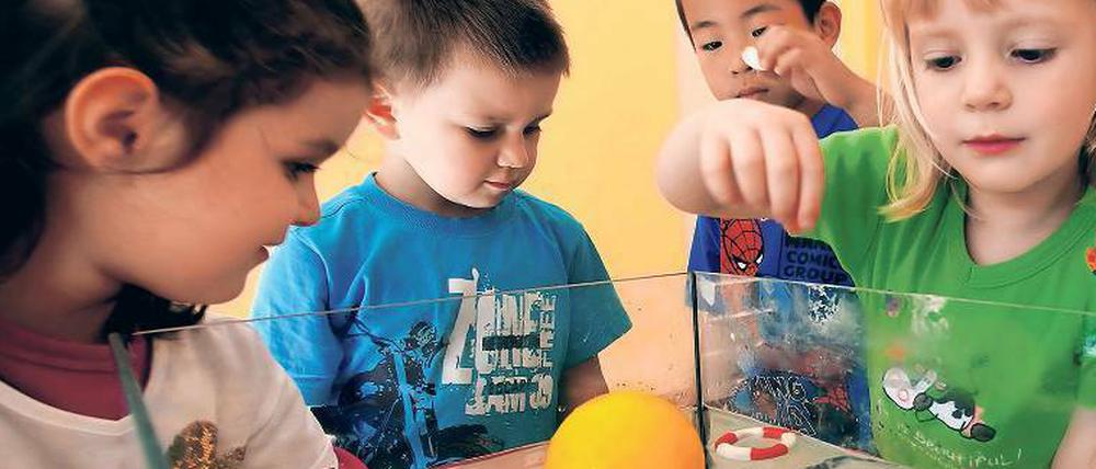 In einer Kita spielen Kinder an einem Wasserbecken mit schwimmenden Plastiktieren und anderen Objekten.