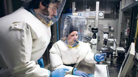 Mit größter Vorsicht. Tests auf Ebola und andere hochinfektiöse Erreger dürfen nur in Speziallaboren gemacht werden. Hier ein Archivbild aus dem Bernhard-Nocht-Institut für Tropenmedizin in Hamburg. 