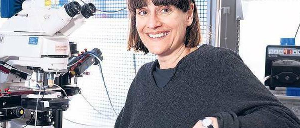 Querdenkerin. Die Neurophysiologin und Stammzellforscherin Magdalena Götz ist erst die vierte Frau, die mit dem Ernst-Schering-Preis ausgezeichnet wurde.