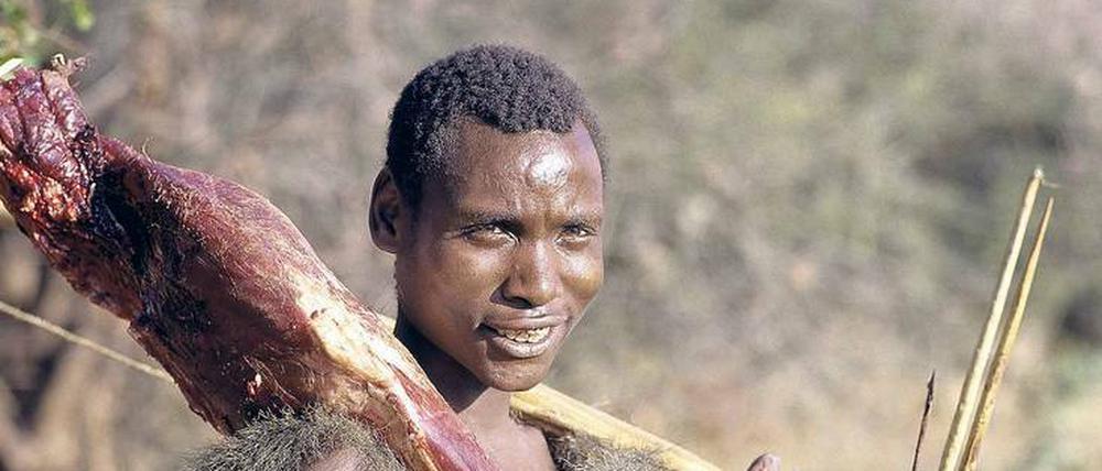Bakterienfutter. Ein Wechsel zwischen fleischreicher Nahrung in der Trockenzeit und beerenreicher Kost in der Regenzeit beschert dem Volk der Hadza in Tansania eine deutlich vielseitigere Bakterienfauna im Darm als die monotonere Küche der Europäer. 