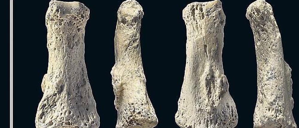 Handlich. Der Mensch brach früh nach Asien auf, zeigen fossile Finger. 
