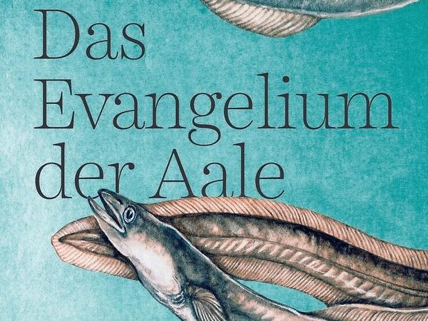 Buchcover von Patrick Svensson: Das Evangelium der Aale. Hanser Verlag 2020. 256 Seiten, 20 €