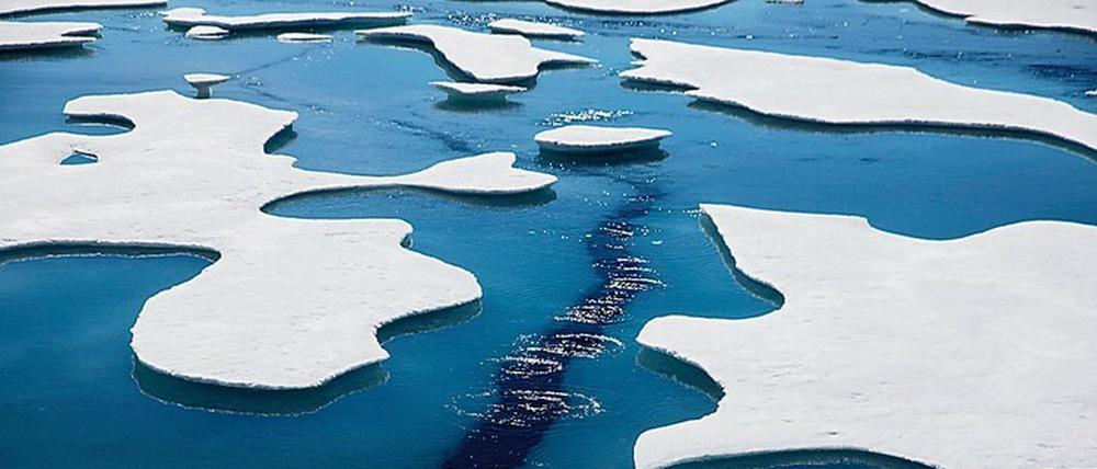 Das Meereis der Arktis nimmt stetig ab.