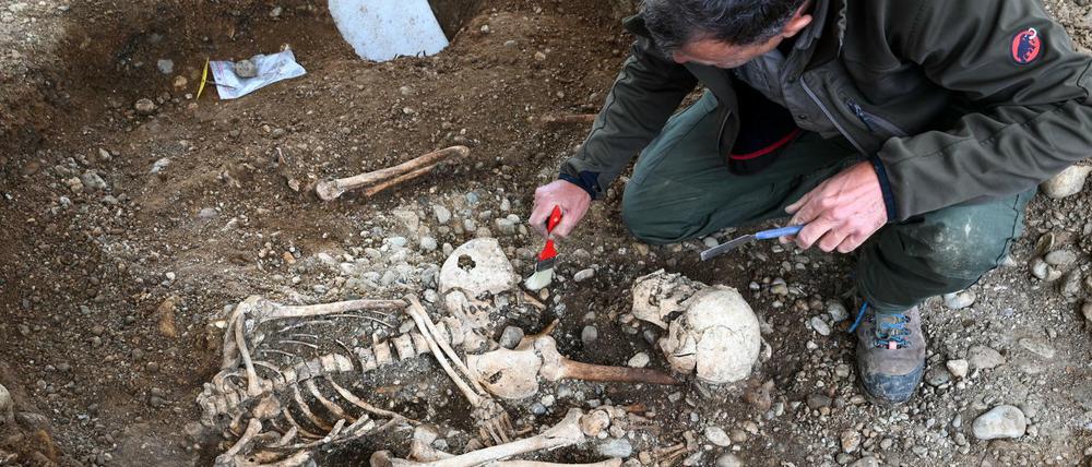 Ein Archäologe legt ein altes Skelett mithilfe eines Pinsels und eines Spachtels frei.