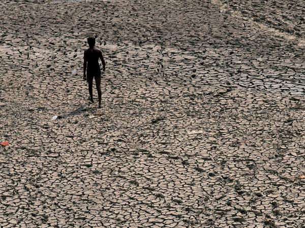 Ein durchschnittlich heißeres Klima macht Dürren häufiger und extremer.
