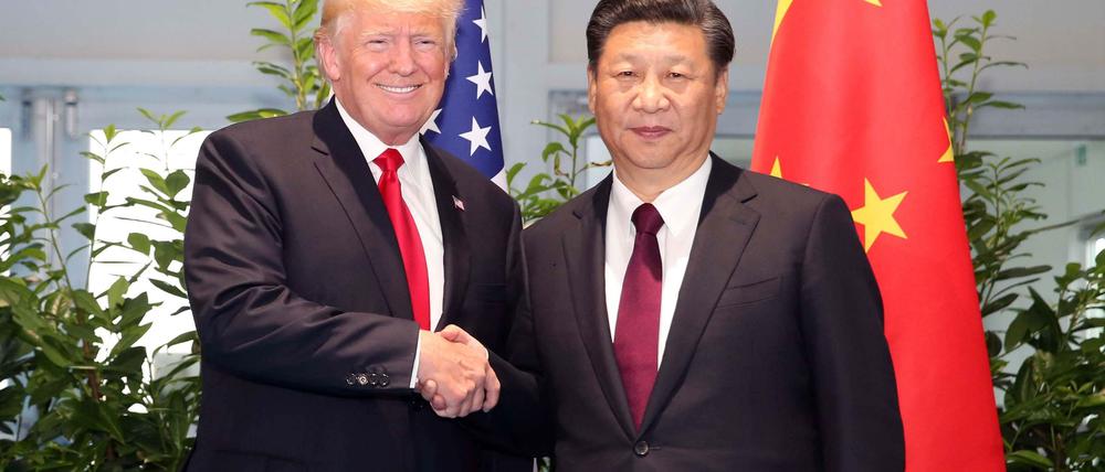 US-Präsident Donald Trump und dessen chinesischer Amtskollege Xi Jinping beim G-20-Gipfel in Hamburg.