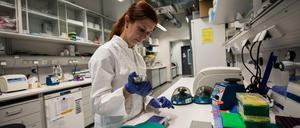 Eine Wissenschaftlerin arbeitet in einem Labor für Molekulare Biologie mit einer Pipette an Proben.