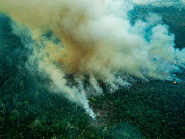 Ein Brand im Regenwald, riesige Mengen von Kohlendioxid werden freigesetzt. Forscher arbeiten daran, wie man beim Kohlendioxid Sauerstoff von Kohlenstoff "befreien" kann. 