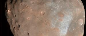 Begleiter des Mars. Phobos, der größere der beiden Marsmonde, hat einen Durchmesser von weniger als 30 Kilometern. 