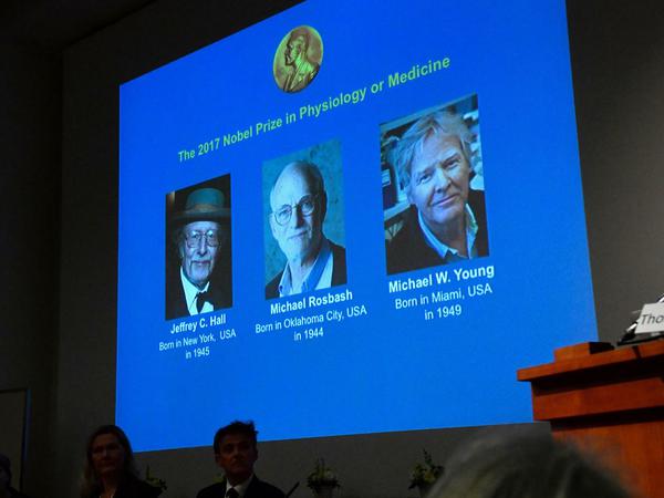 Der Nobelpreis für Physiologie und Medizin geht in diesem Jahr an die drei US-Amerikaner Jeffrey C. Hall und Michael Rosbash von der Brandeis Universität in Boston und Michael W. Young von der Rockefeller Universität in New York City.