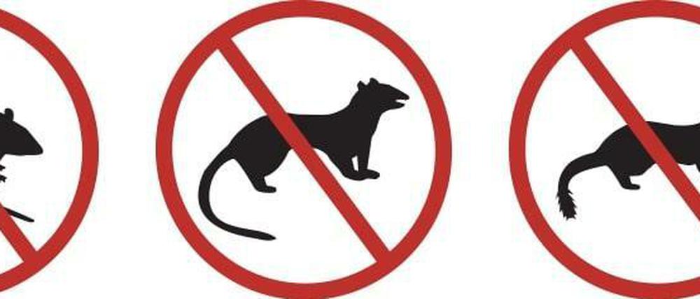 Klare Ansage auf der Miramar-Halbinsel: "No rats, stoats or weasels"