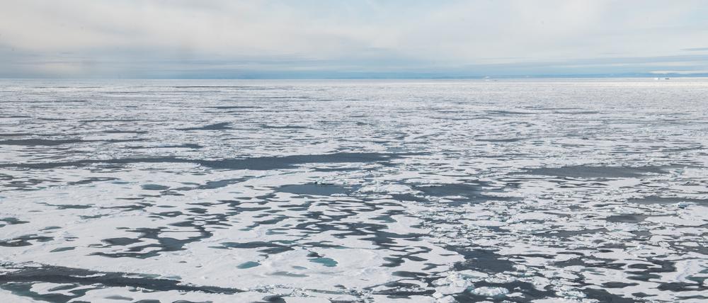  In den vergangenen Jahrzehnten hatte es beim arktischen Meereis einen signifikanten Rückgang gegeben.