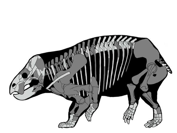 Der Ursäuger-Verwandte Lisowicia bojani war ähnlich groß wie heutige Elefanten. 