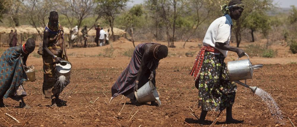 In Nordkenia bewirtschaften nomadisch lebende Menschen kleine Gebiete. 