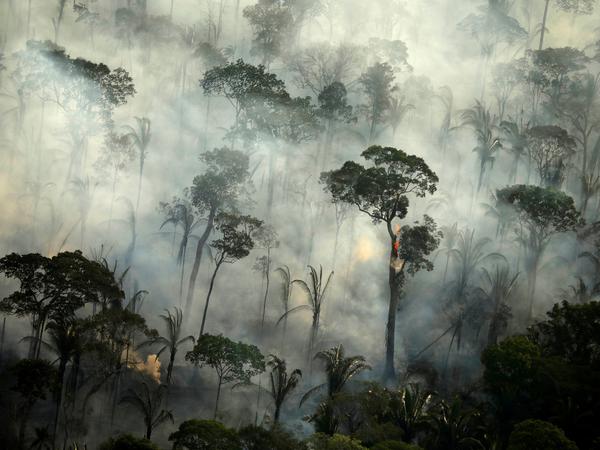 Rauch steigt über einem brennenden Teil des brasilianischen Amazonas-Regenwald auf. 