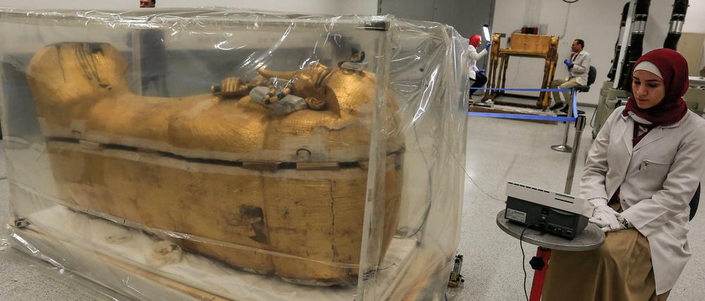 Der vergoldete Sarkophag Tutanchamuns wird in einem Kunststoffzelt im Großen Ägyptischen Museum gegen Schädlinge behandelt.