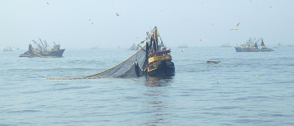 Die Fischkutter im Einsatz vor der peruanischen Küste sind Teil der größten auf eine Fischart spezialisierten Fangflotte der Welt.