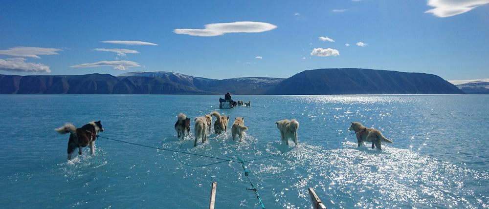 In Grönland gehen immer größere Mengen Eis verloren. 