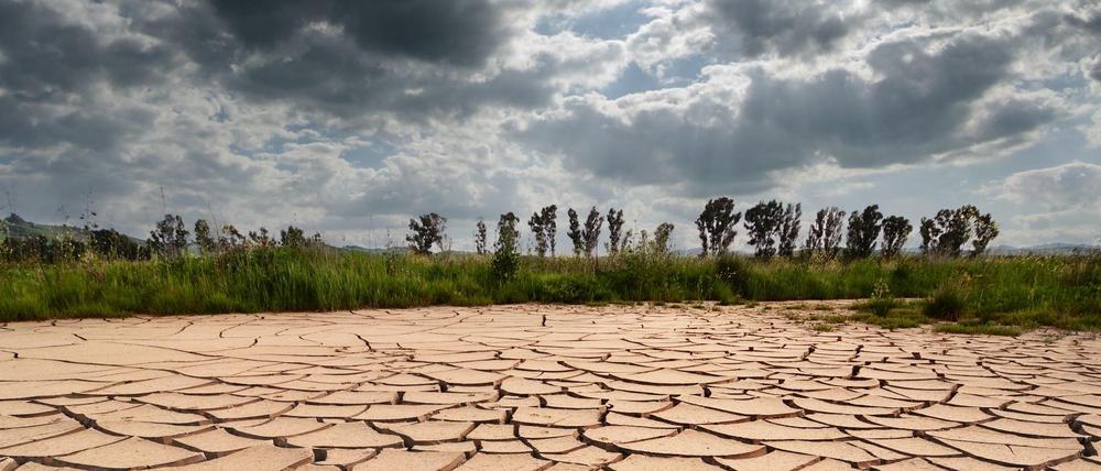 Sind Dürren, wie die im vergangenen Sommer, Folgen des Klimawandels?