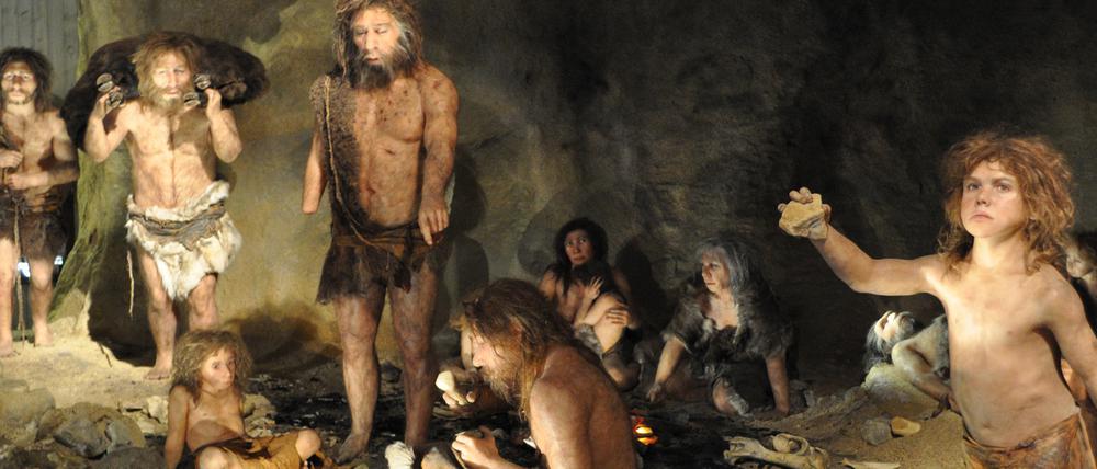 DNA-Spuren weisen drauf hin, dass die Neandertaler (Foto) auch mit den Denisova-Menschen Nachfahren zeugten. 