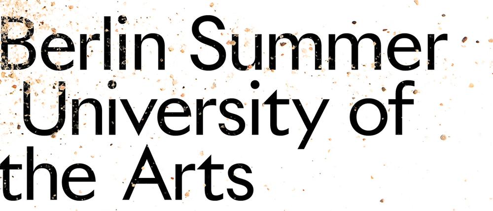 Summer University of the Arts